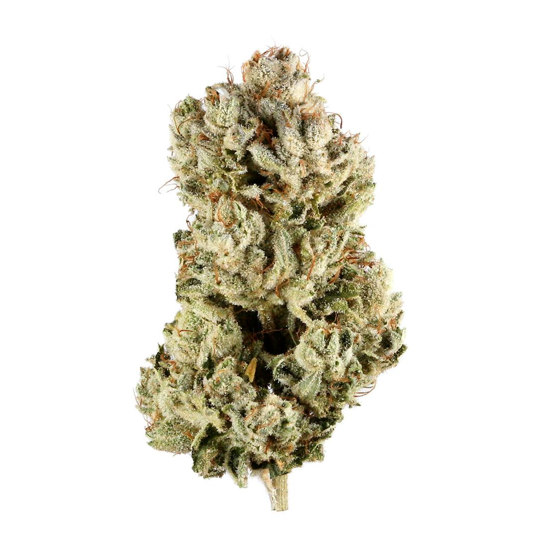 GG4 Big Buds