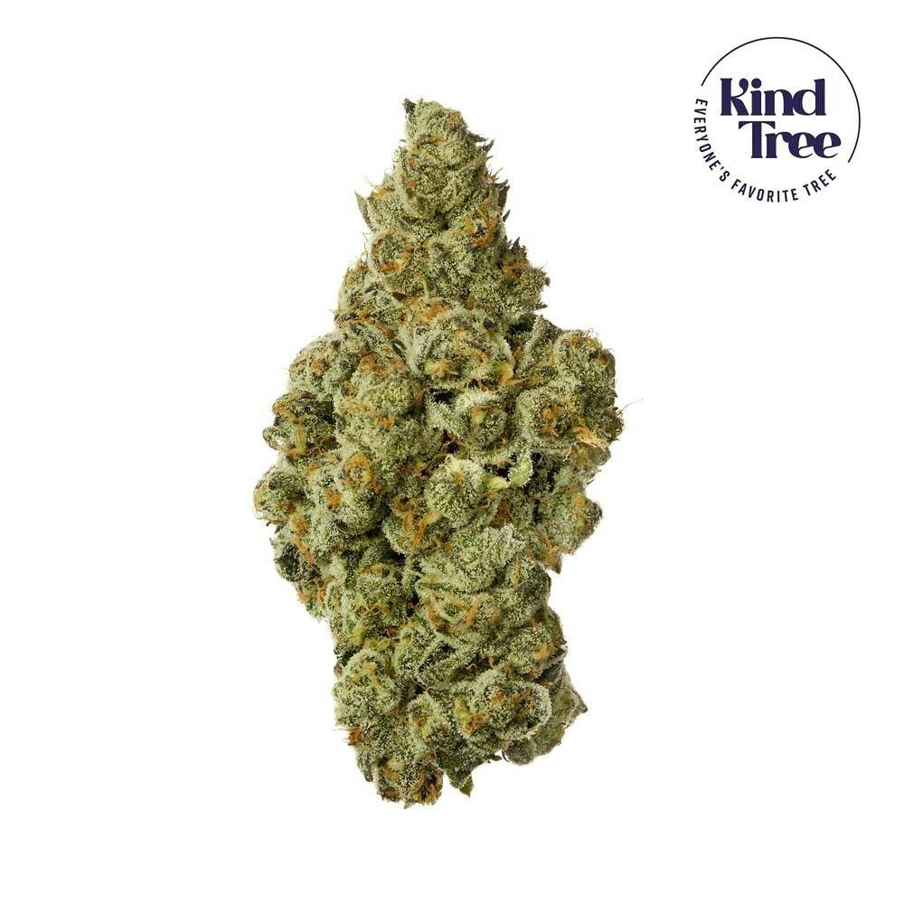 Apple Crisp | Big Buds | 14g by Kind Tree