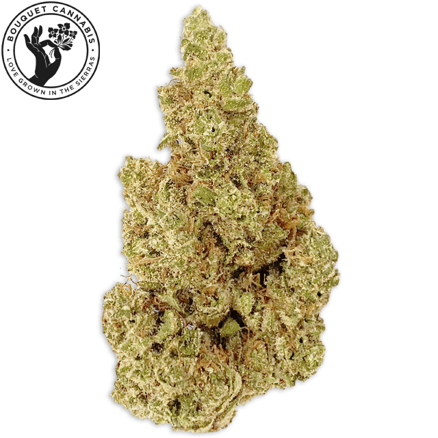 blueberry haze | Big Buds | 3.5g at Elevation 2477' Cannabis Dispensary