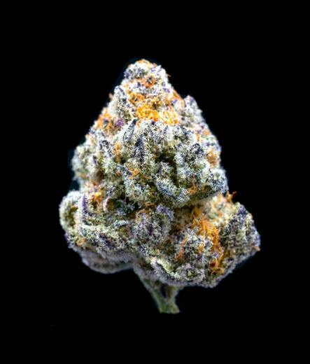 ADL x Rainbow Belts #2 | Big Buds | 1g