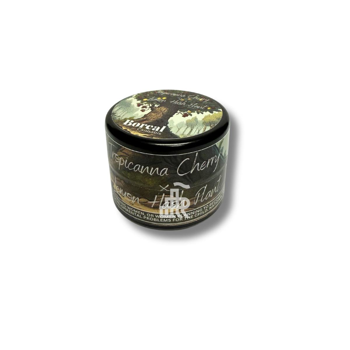 Tropicanna Cherry x Lemon Hash Plant | Solventless | Rosin | 1g