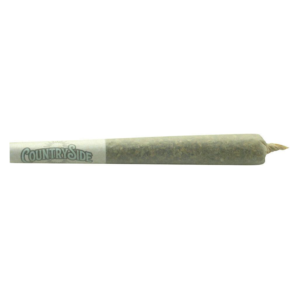Peach Crescendo | Infused Joints | 1g