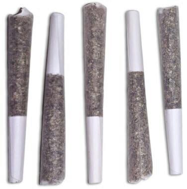 Black Truffle | Minis | 0.5g | 5pk