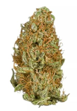 King Congo | Big Buds | 3.5g