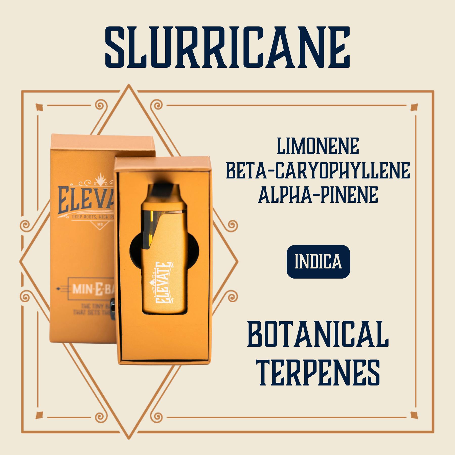 slurricane | Disposable | 1g by Elevate