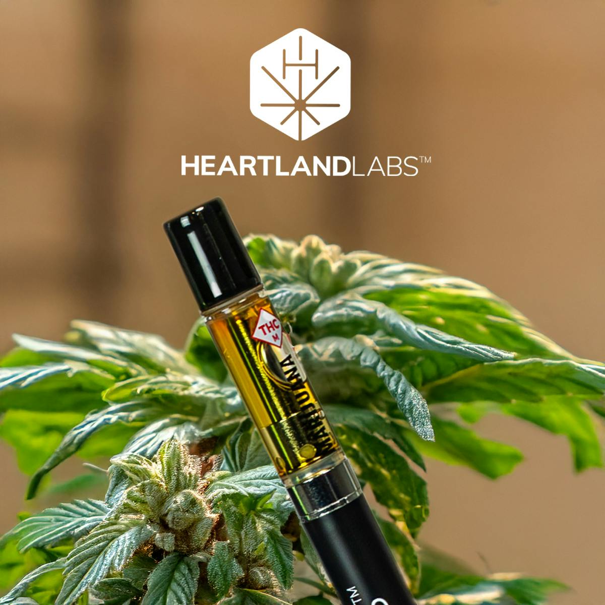 pineapple kush | Cartridge | 1g