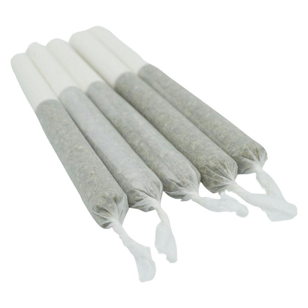 Lemon-Up | Minis | 0.5g