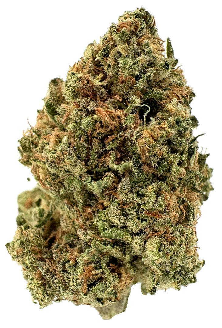 Blue Halo | Big Buds | 3.5g at Elevation 2477' Cannabis Dispensary
