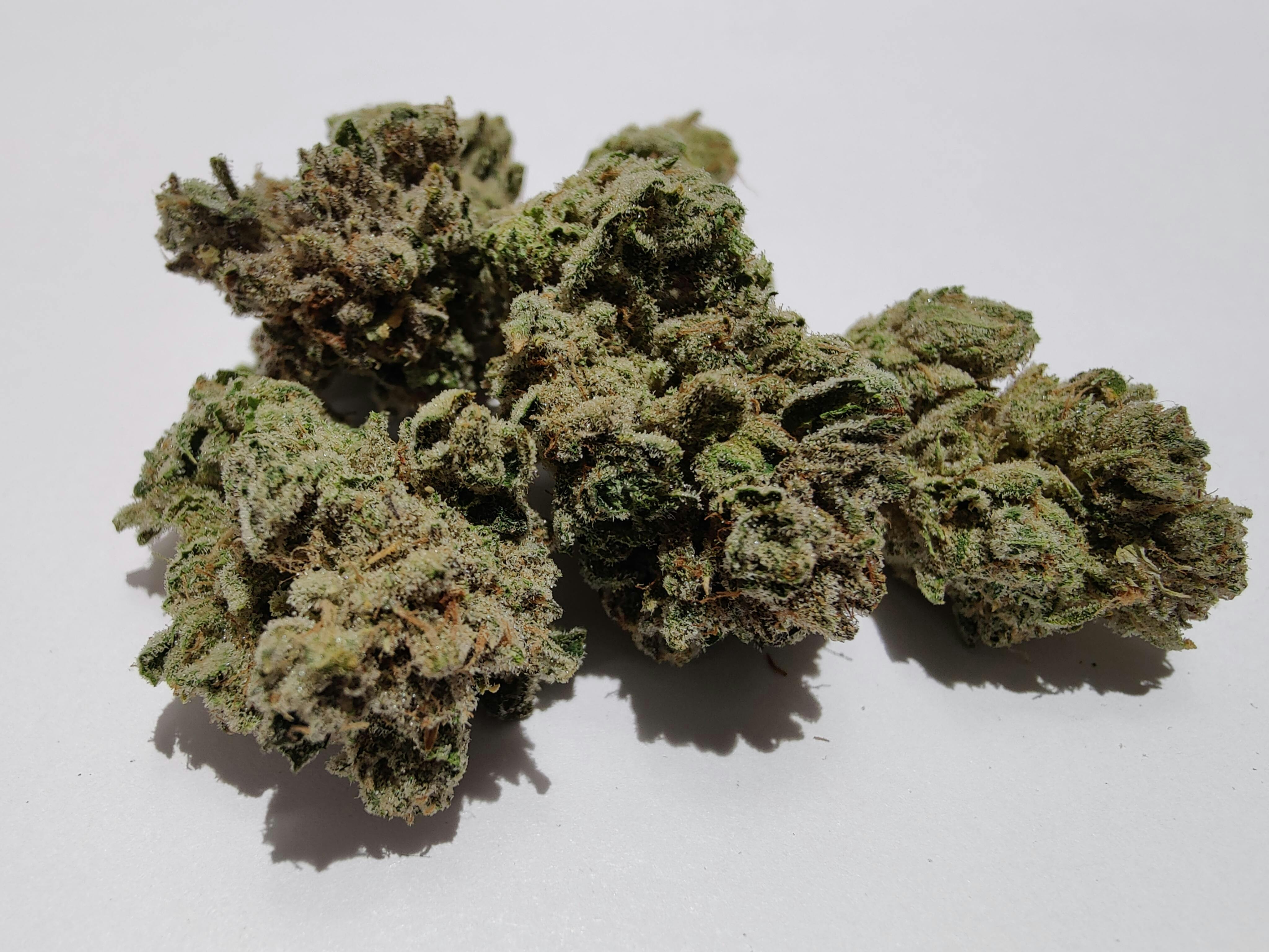 Kool Aid | Big Buds | 1g by Deli