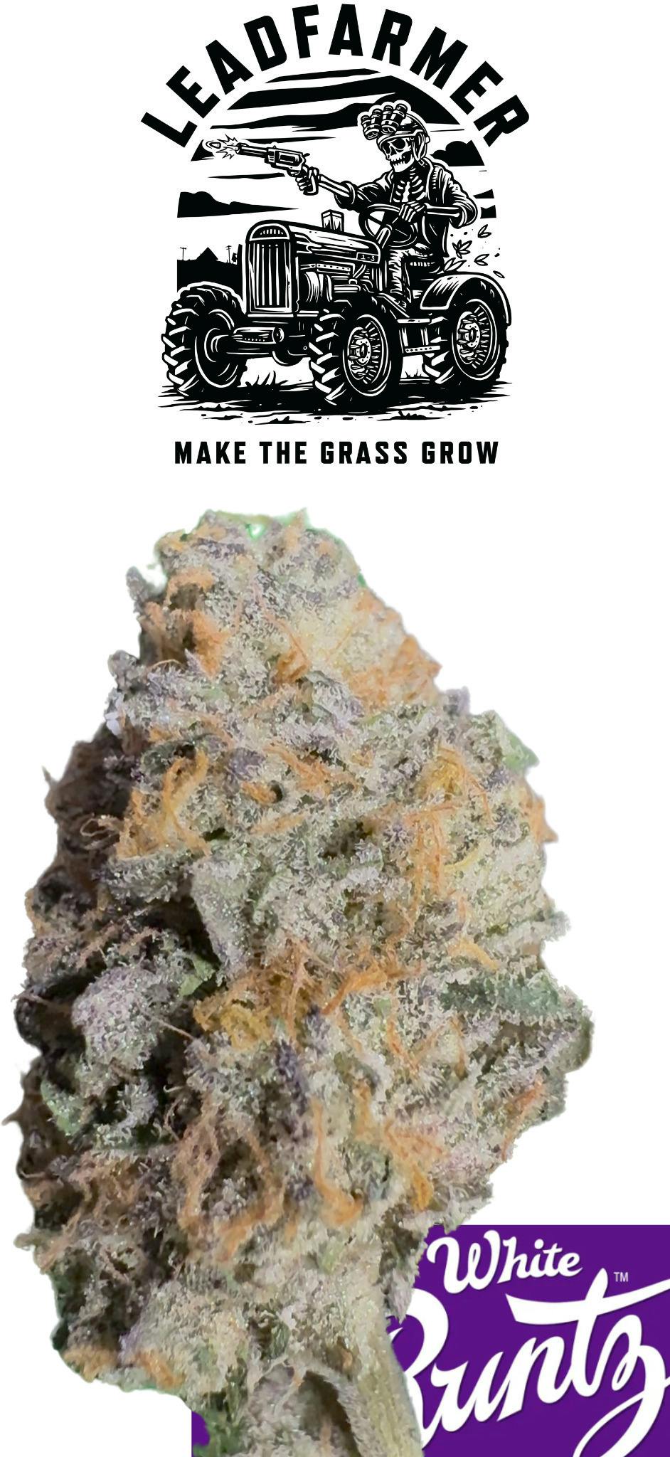 White Runtz | Big Buds | 3.5g