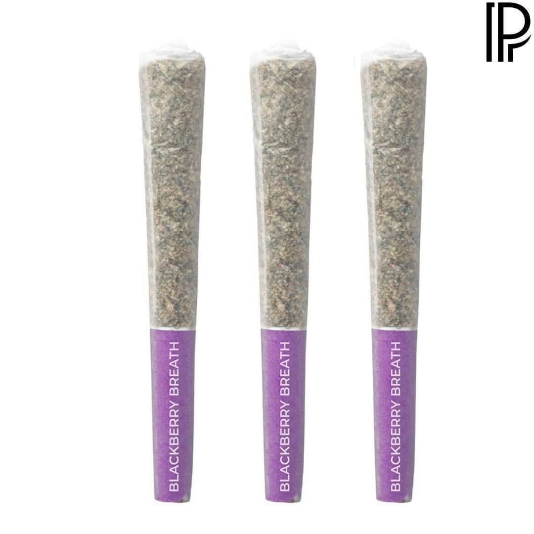 Blackberry Breath | Joints | 0.5g | 3pk