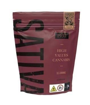 Princess Haze | Big Buds | 3.5g by 1937 Cannabis