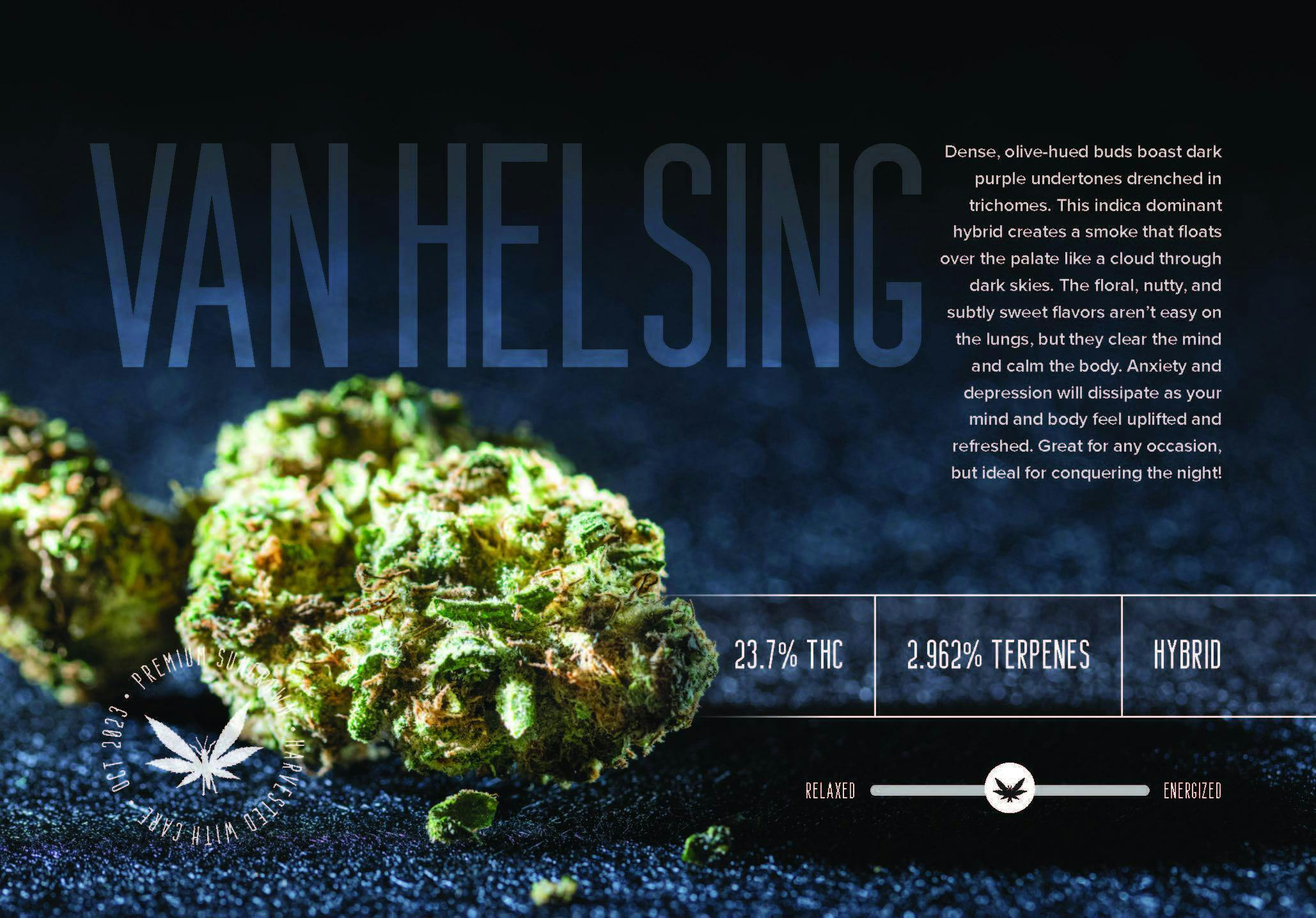 Van Helsing AFD | Big Buds | 1g