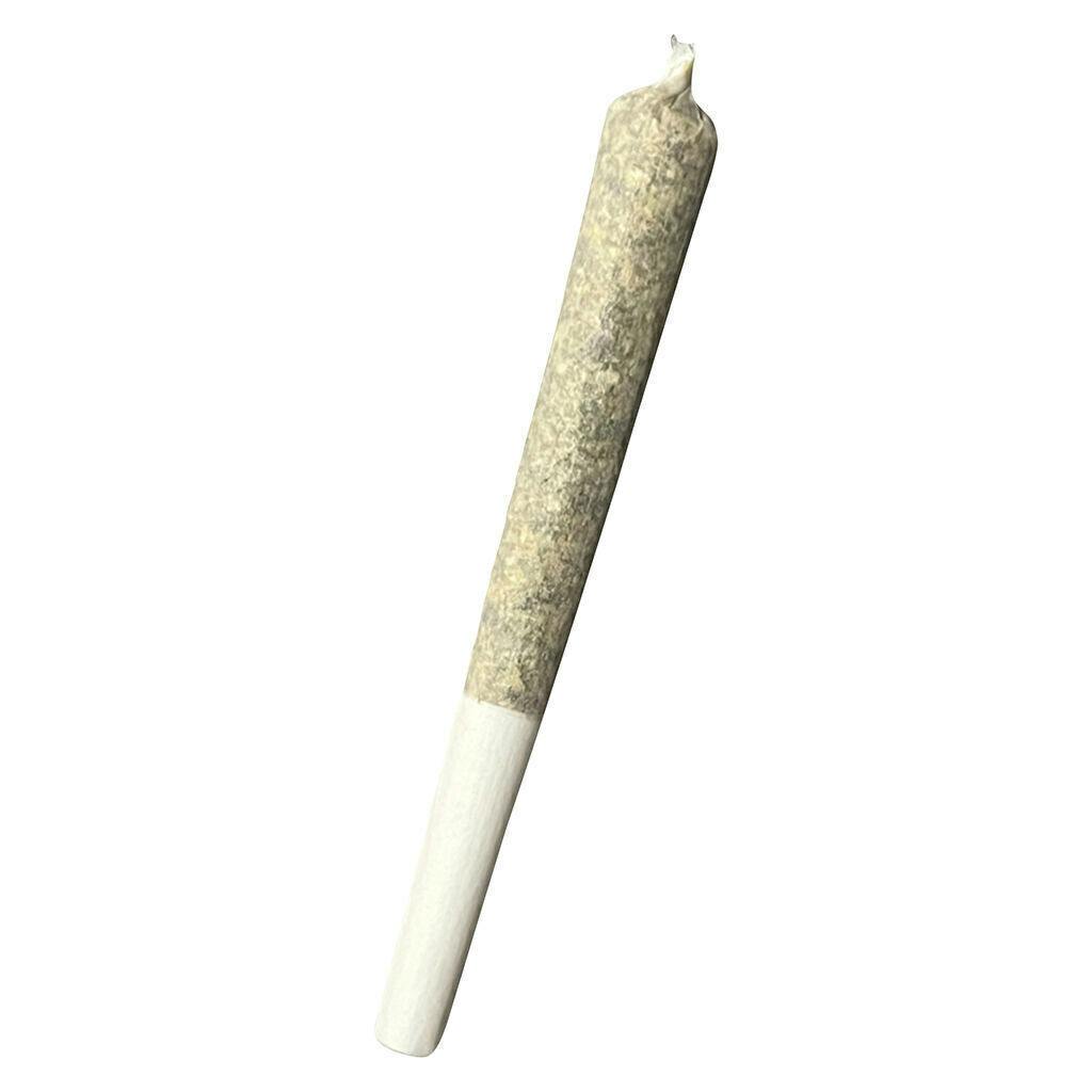 Bluenose Berry | Infused Joints | 1g