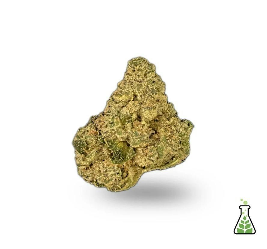 Space Center | Big Buds | 3.5g by Sanctuary Medicinals