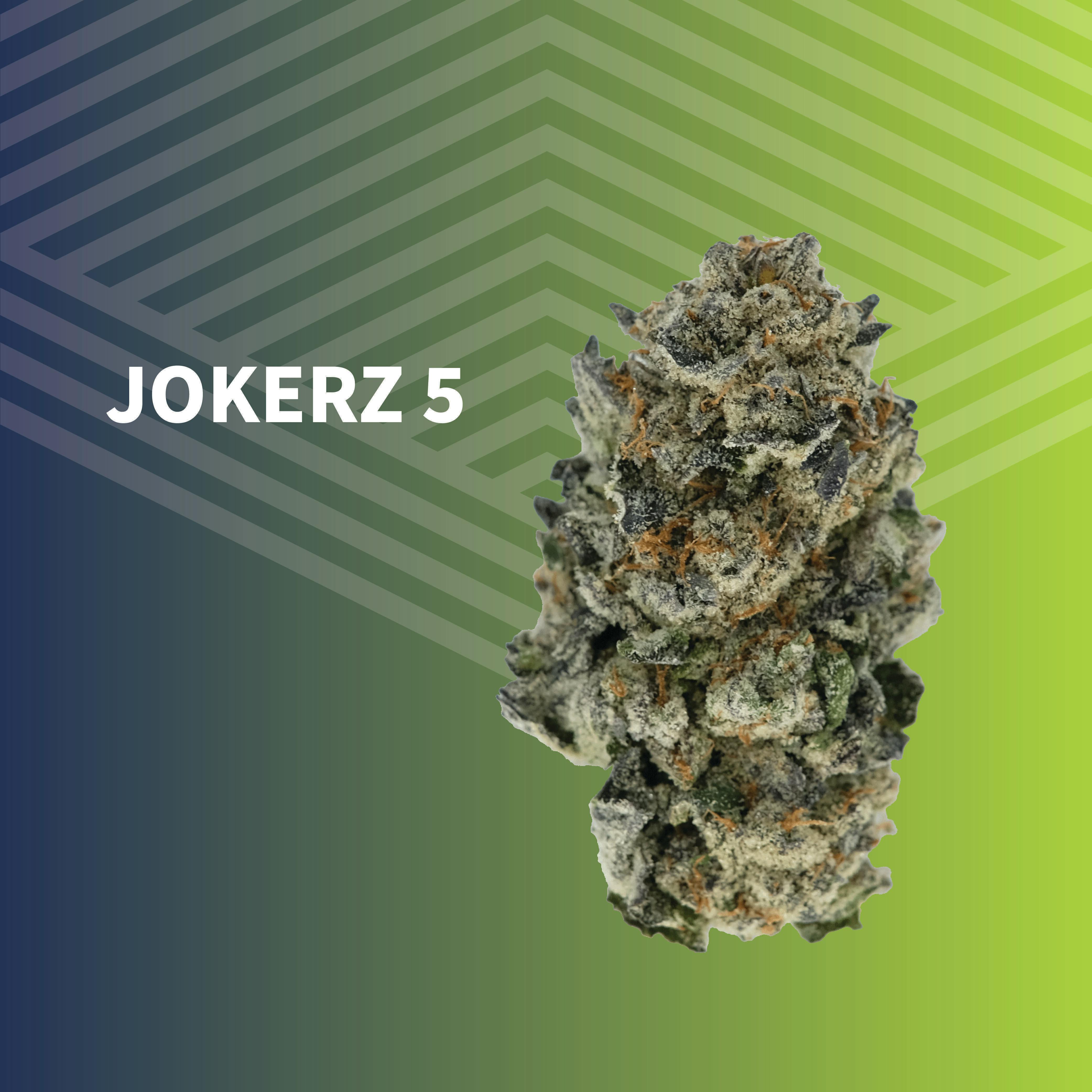 Jokerz 5 | Big Buds | 1g at Pure Dakota Health of Bismarck