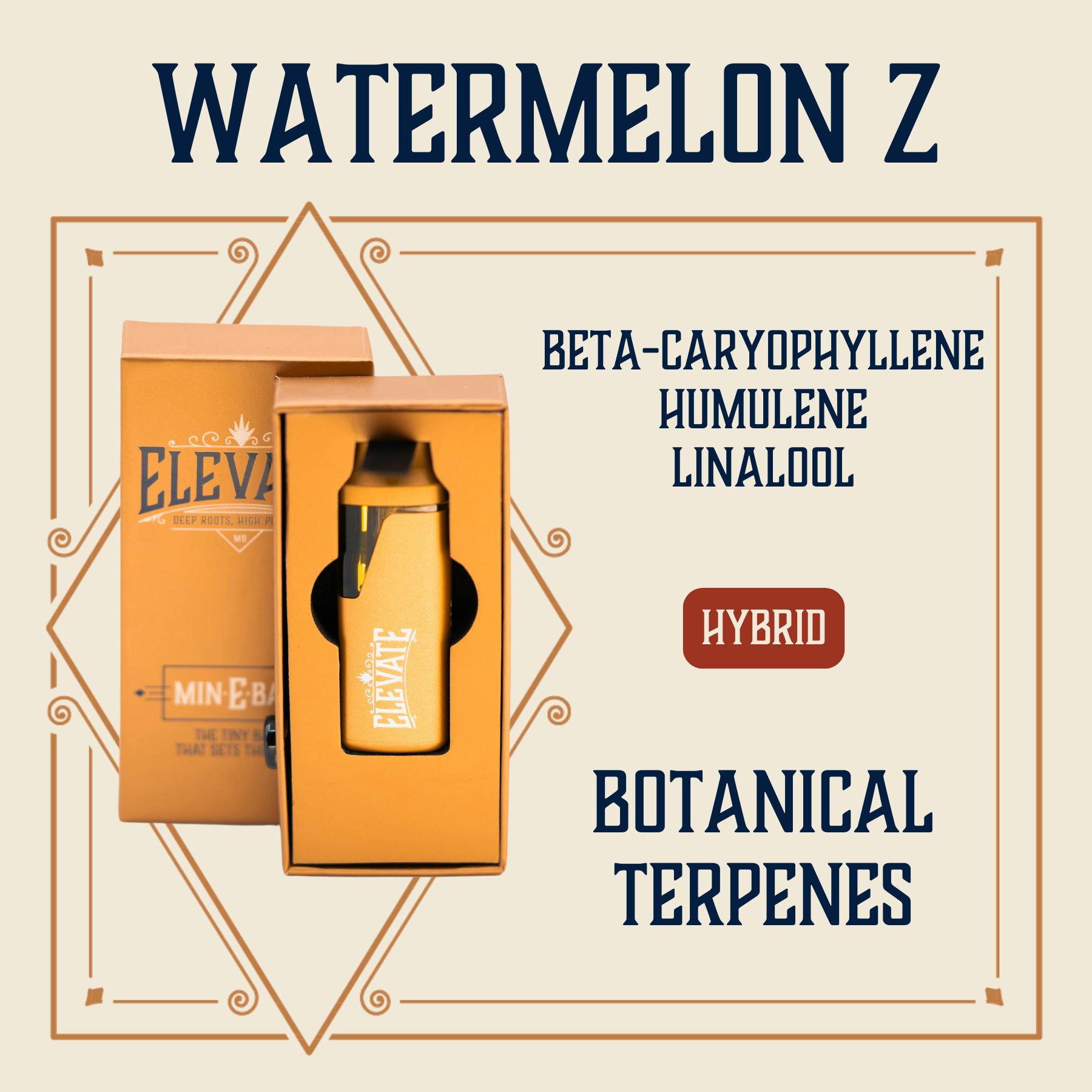 Watermelon Zkittles | Disposable | 1g by Elevate