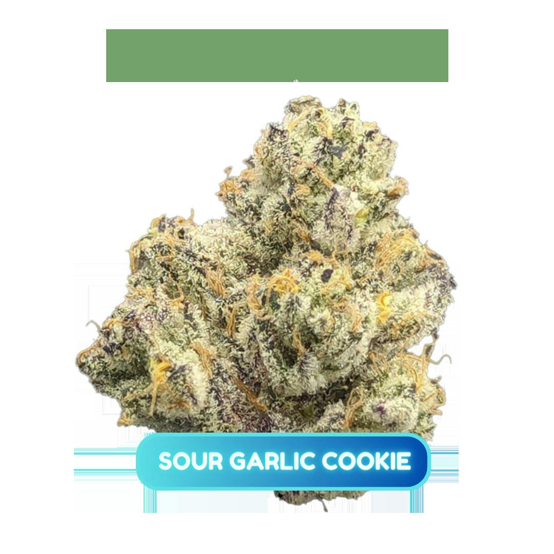 Sour Garlic Cookie | Big Buds | 3.5g by GrowHealthy