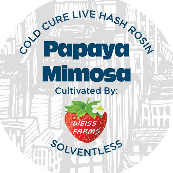 Papaya Juice | Solventless | Rosin | 1g at The Flowery Dispensary Haverstraw