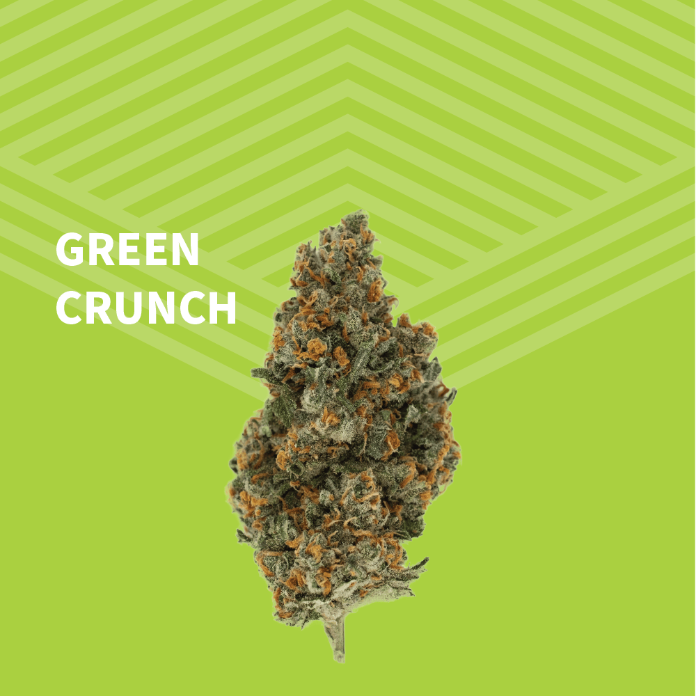Green Crunch | Big Buds | 1g at Pure Dakota Health Williston Dispensary