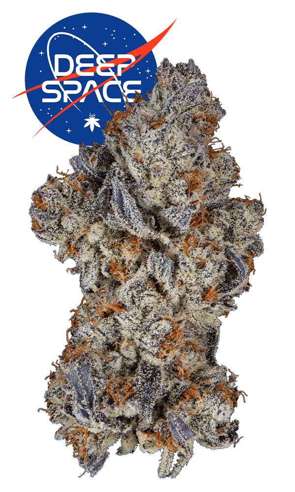 Deep Space #6 | Big Buds | 3.5g
