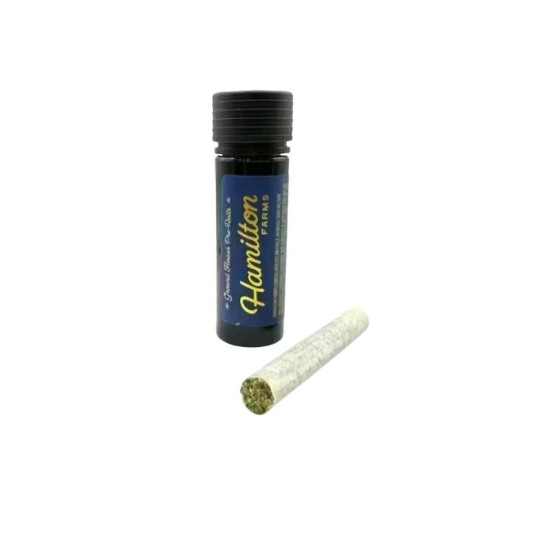 Apple Jelly | Joints | 1g at Rollin' Green