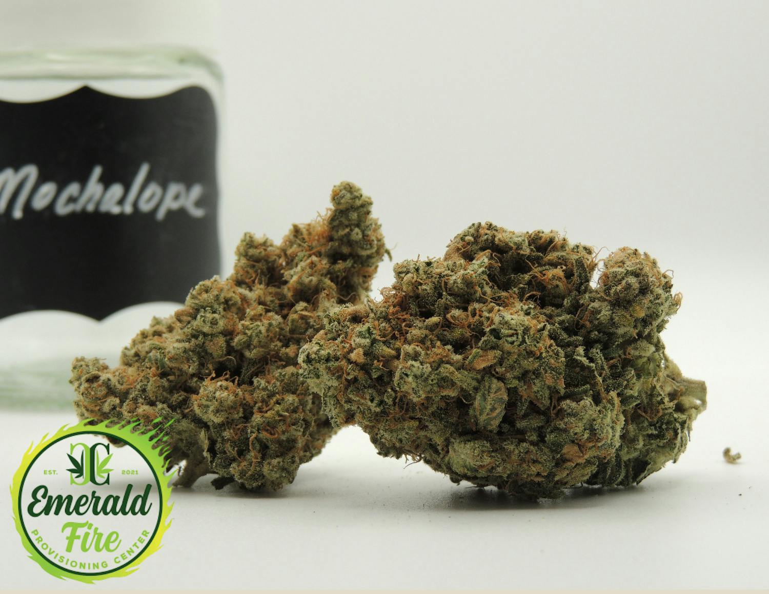 Mochalope | Big Buds | 1g by One Garden