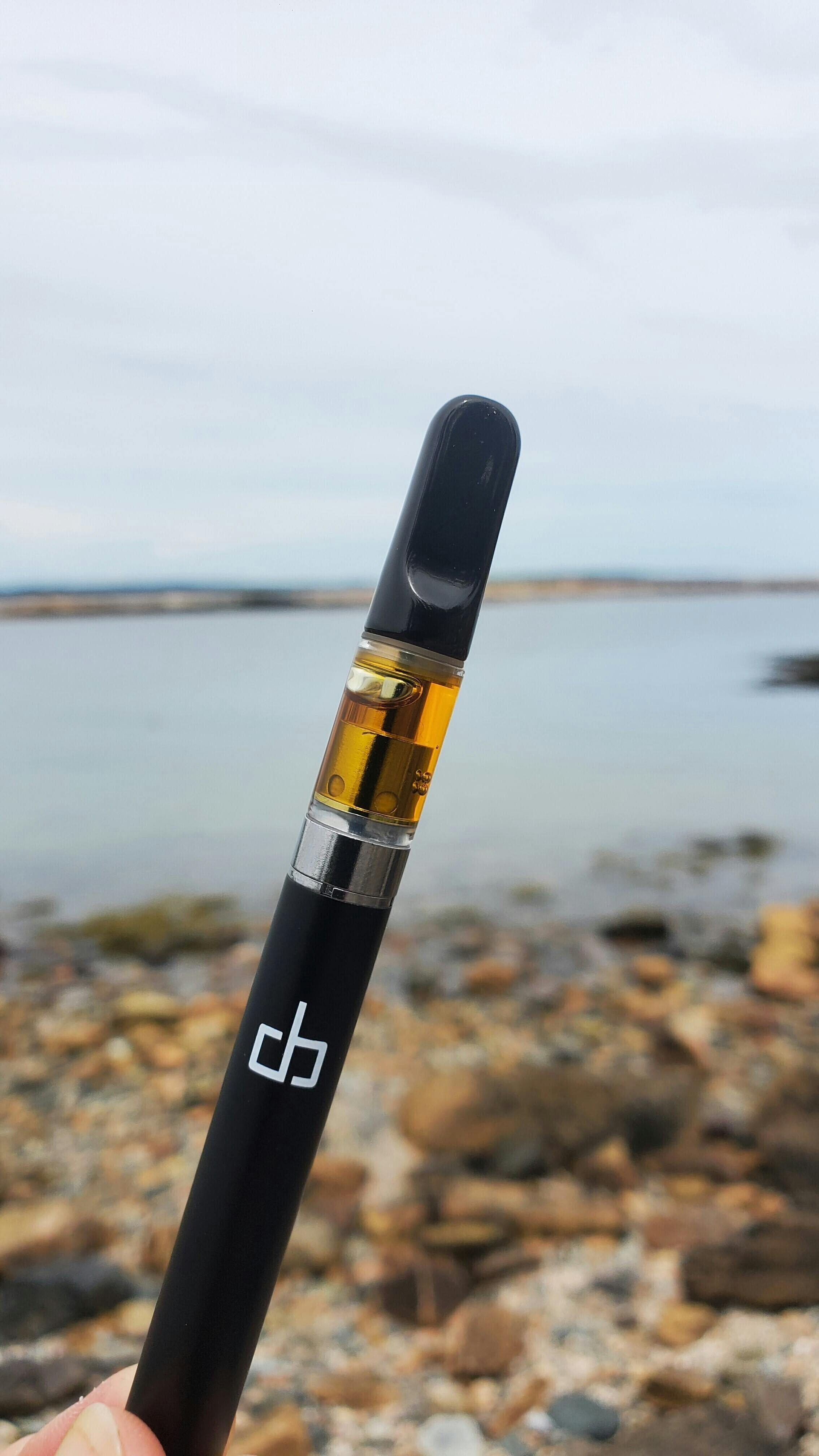Mimosa | Cartridge | 1g