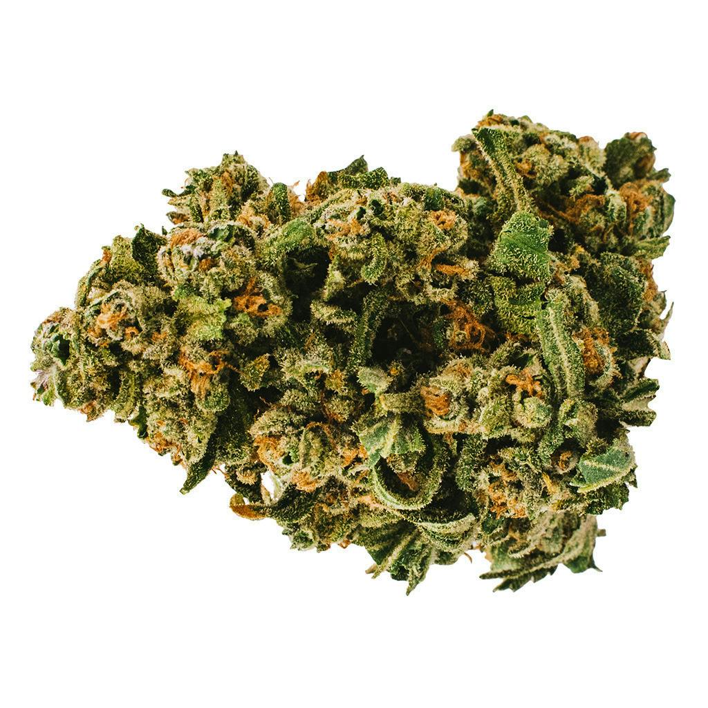 Gelato | Big Buds | 3.5g