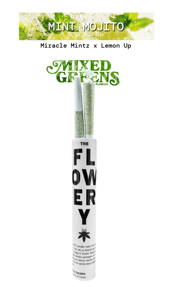 Mint Mojito | Joints | 0.5g | 2pk