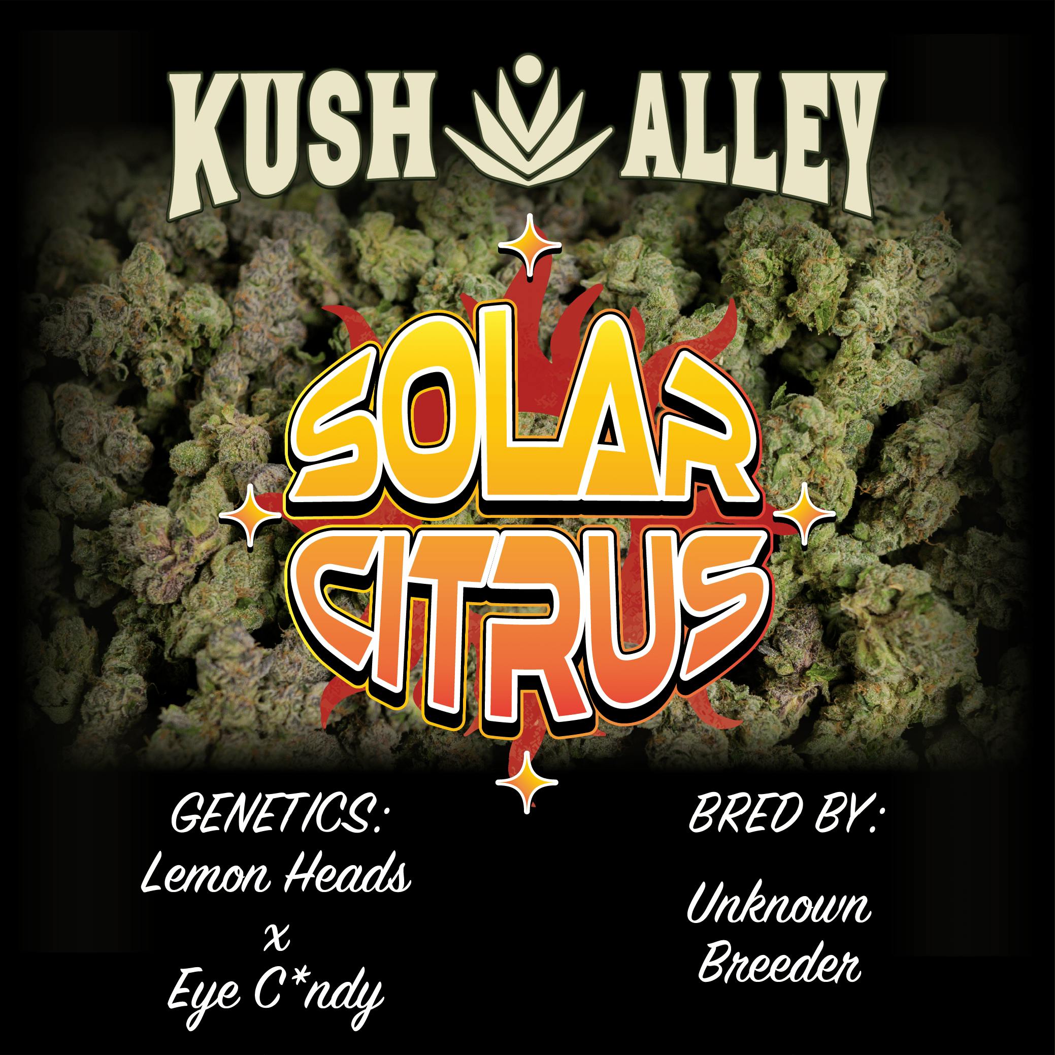 Solar Citrus | Big Buds | 4g