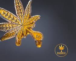 Ice Box Pie | Solvent | 1g