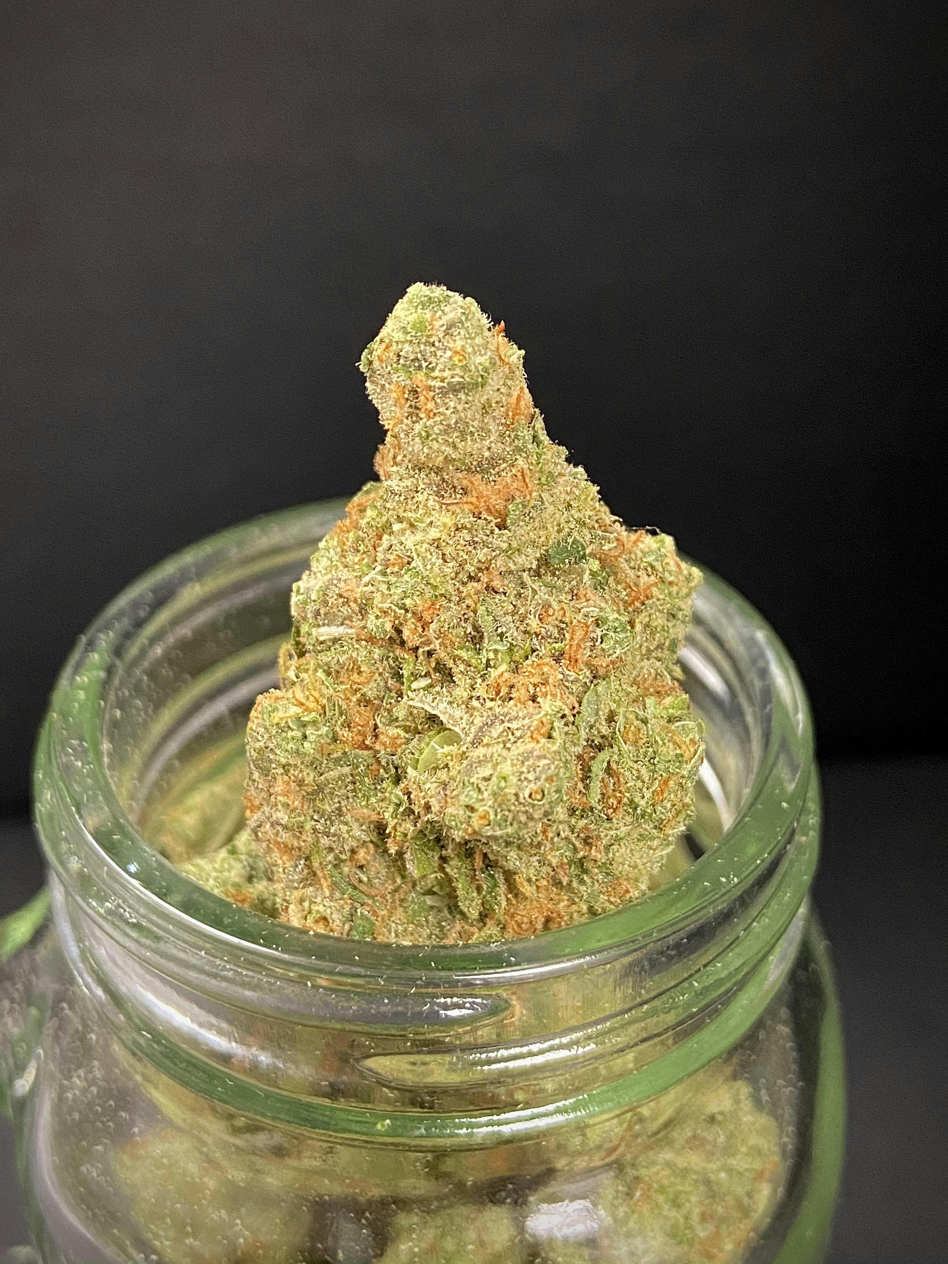 OC Skunk #1 | Big Buds | 1g