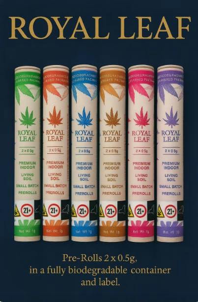 Royal Leaf | Biscotti 41 | Minis | 0.5g each | 2pk by Royal Leaf