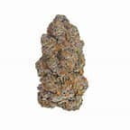 Biscotti | Smalls | 1g