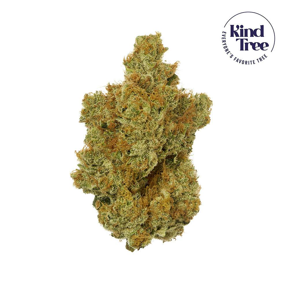Taco Cat | Big Buds | 3.5g by Kind Tree
