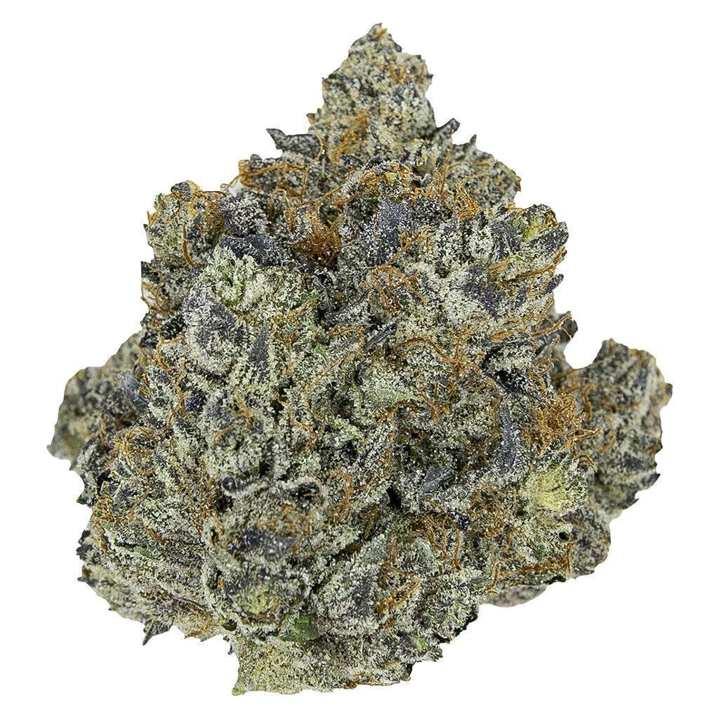 Pink Panties | Big Buds | 7g