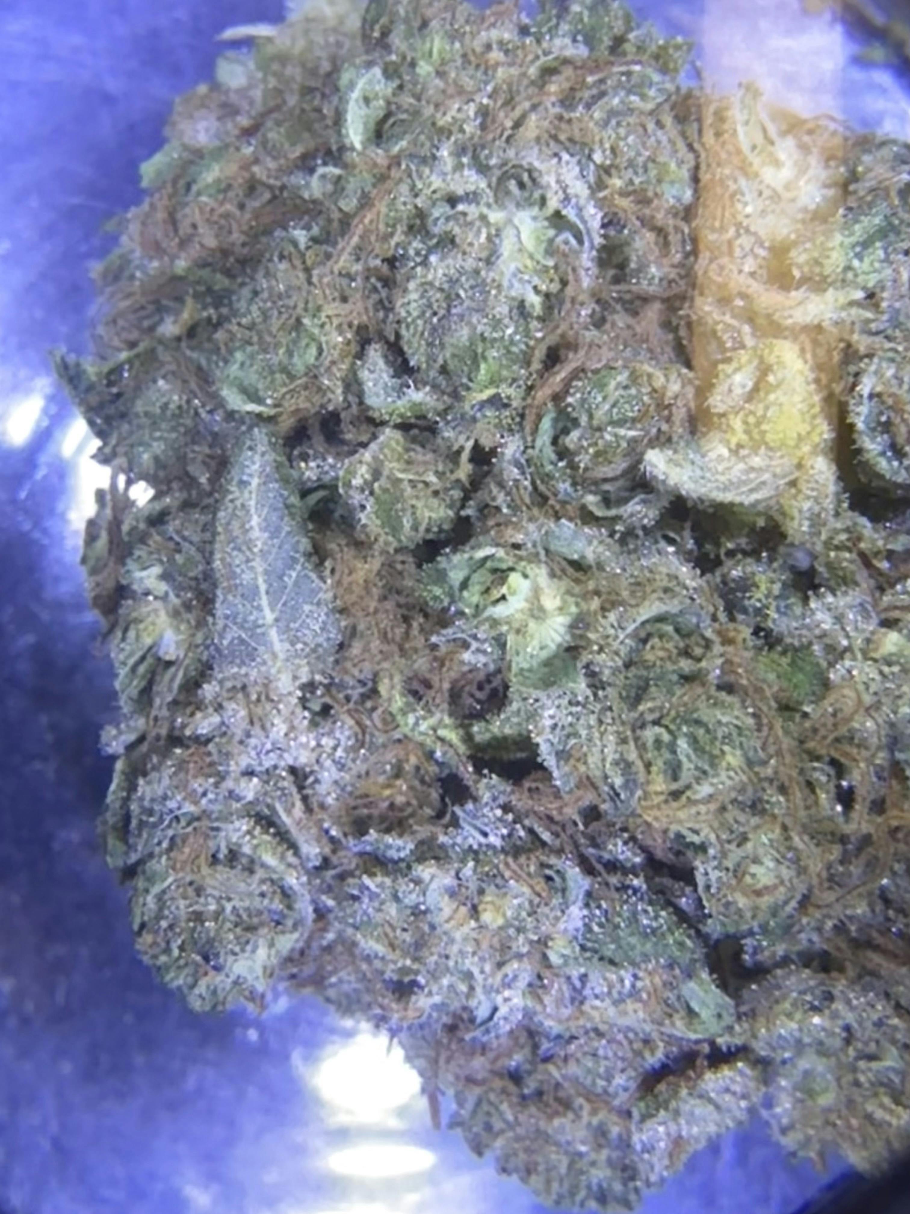Montana Unicorn | Big Buds | 1g