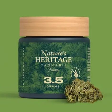 Governmint Oasis | Big Buds | 3.5g by Nature's Heritage
