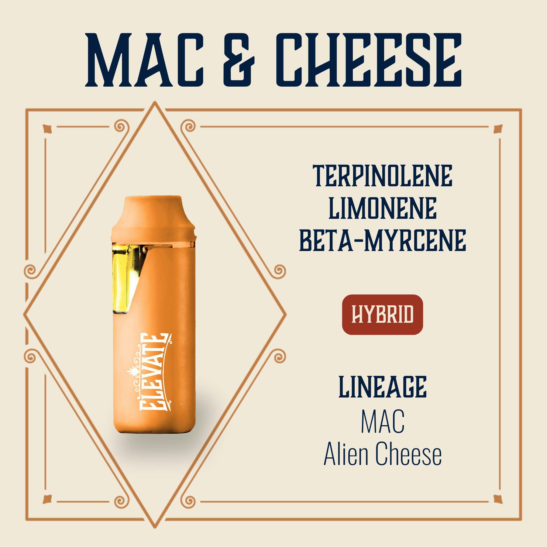 Mac N' Cheese | Disposable | 1g