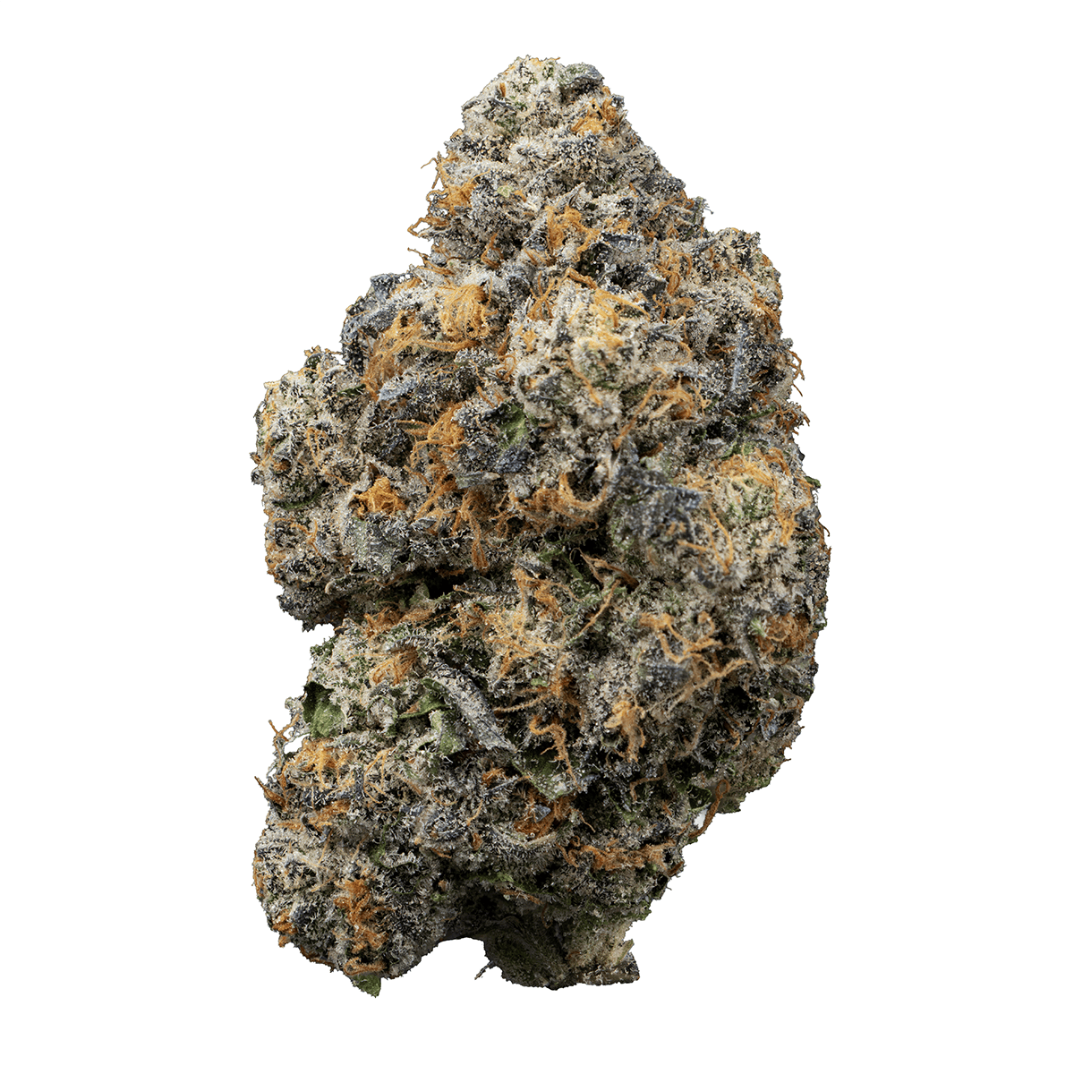 Washington Apple | Big Buds | 7g by Grown Rogue