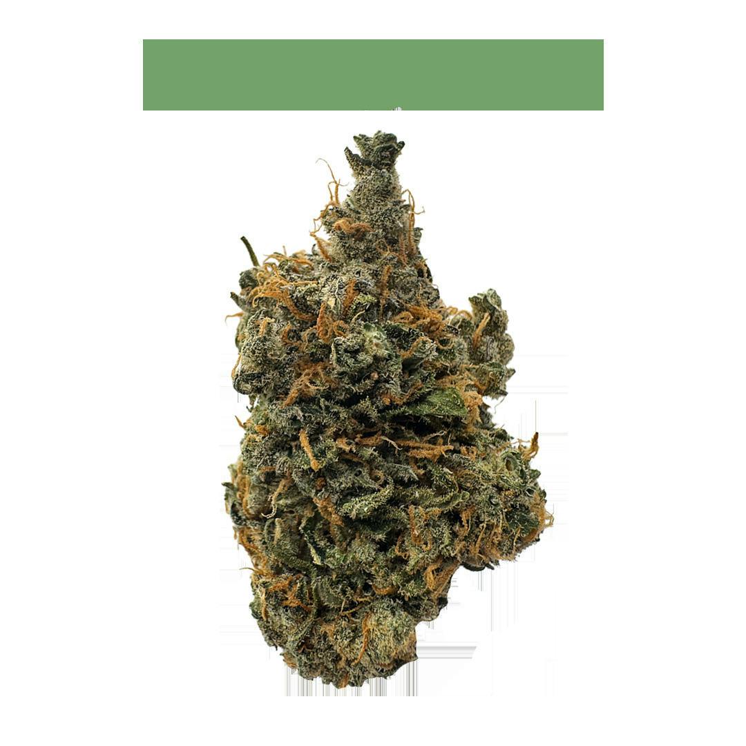 Maui | Big Buds | 3.5g
