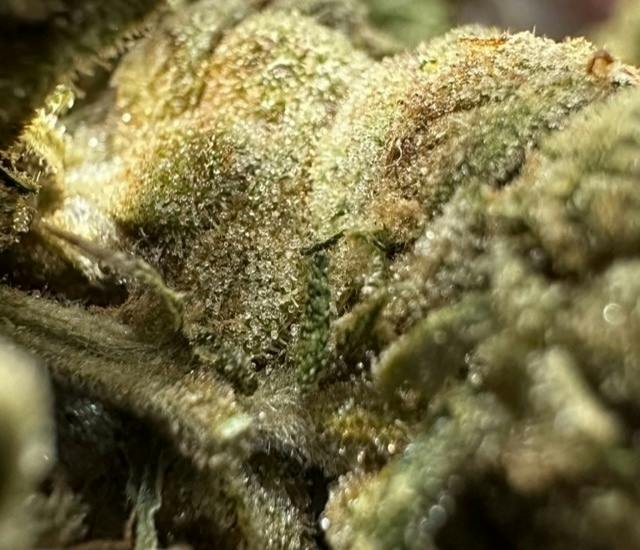 Apples and Bananas | Big Buds | 1g