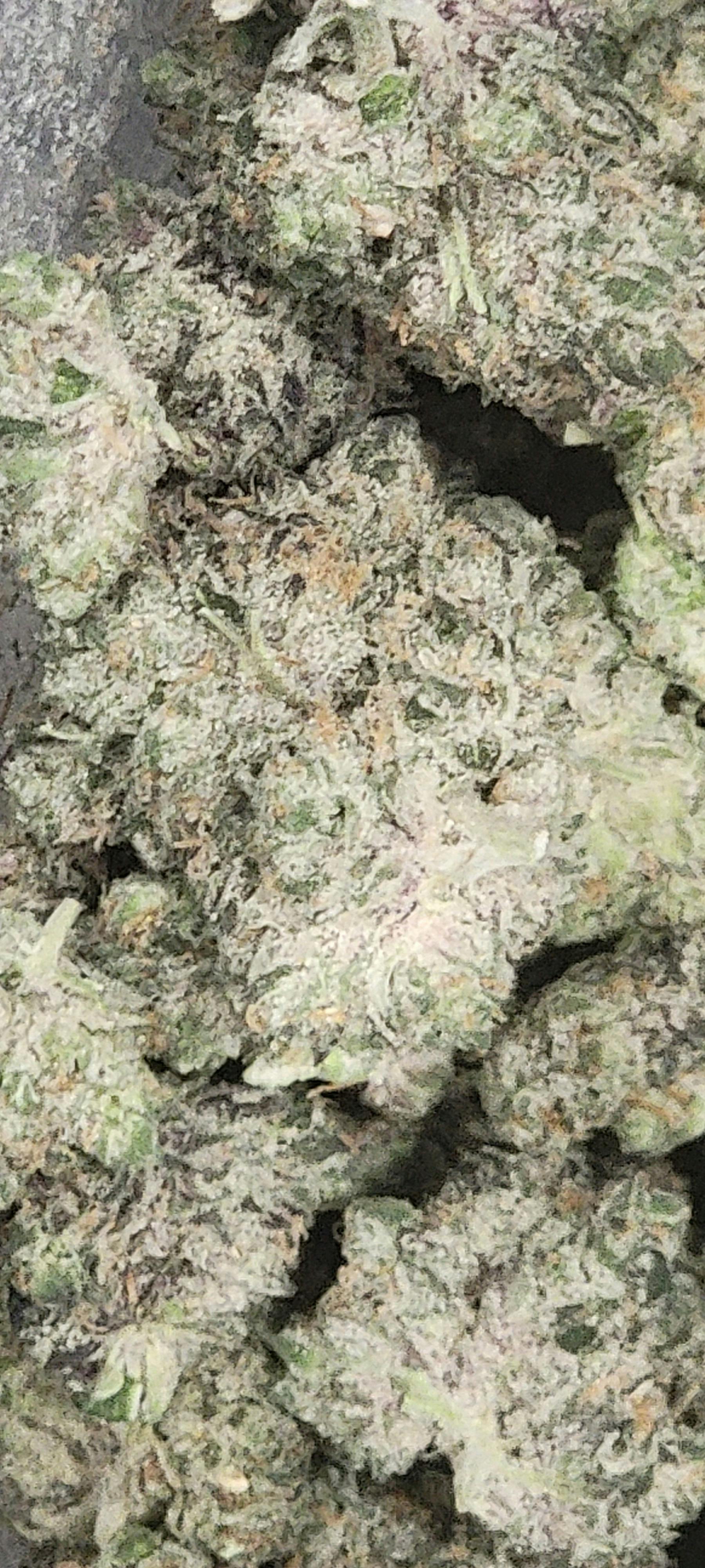 Mississippi Half Step | Big Buds | 3.5g