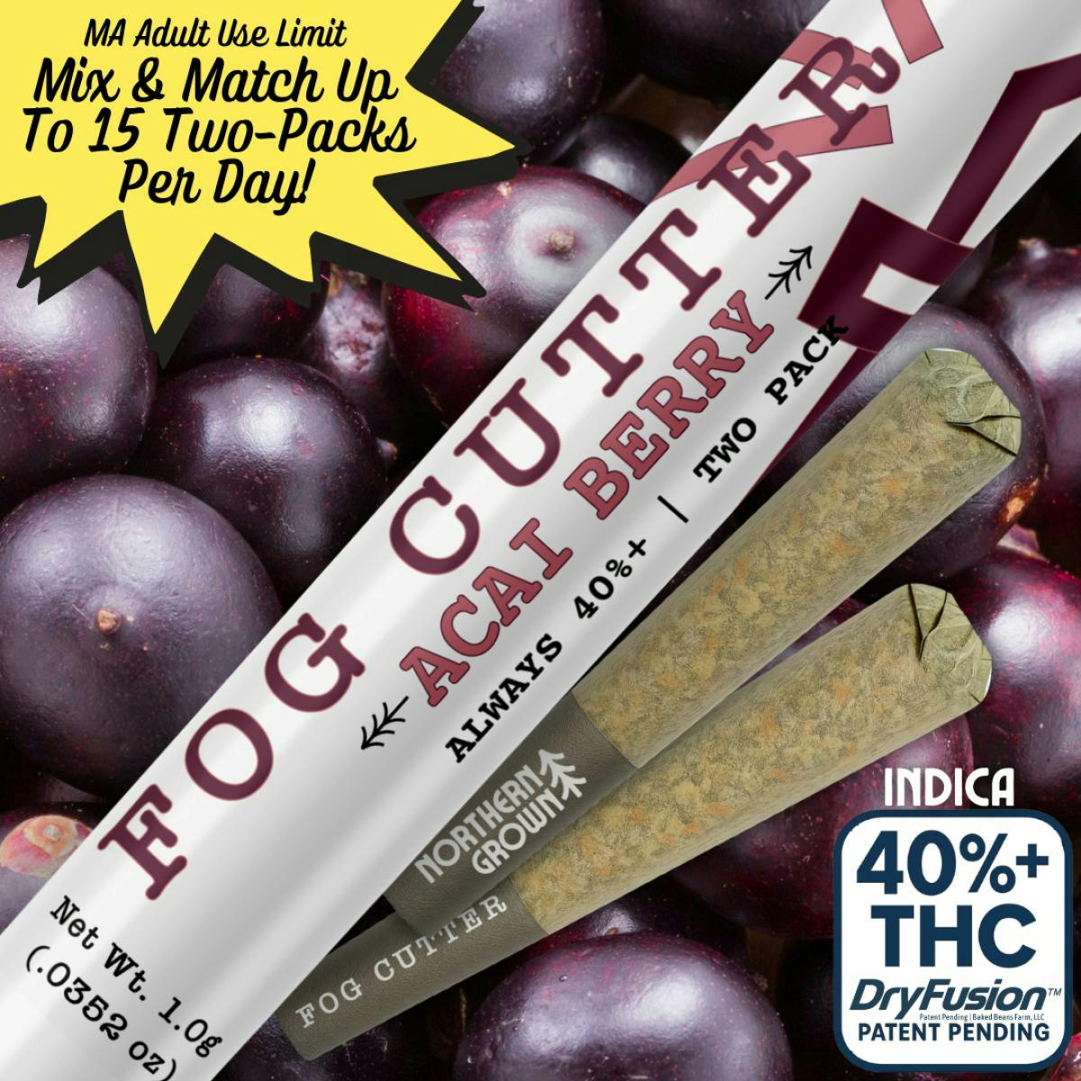 forbidden fruit | Infused Joints | 0.5g | 2pk at Hidden Wonders Dispensary