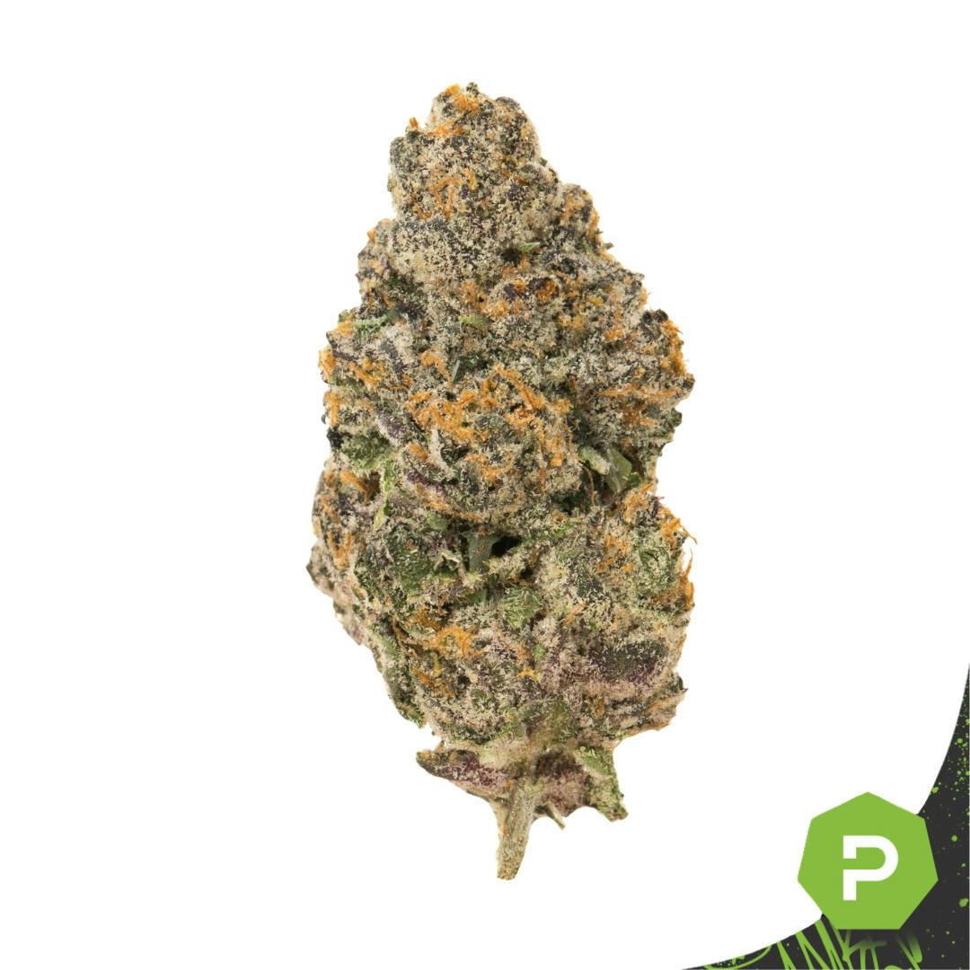 Lemon Cherry Gelato | Big Buds | 1g