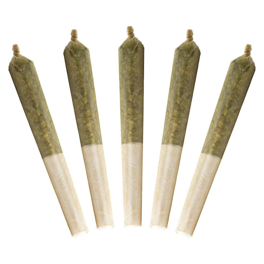 Lil Buddy Sativa | Minis | 0.5g