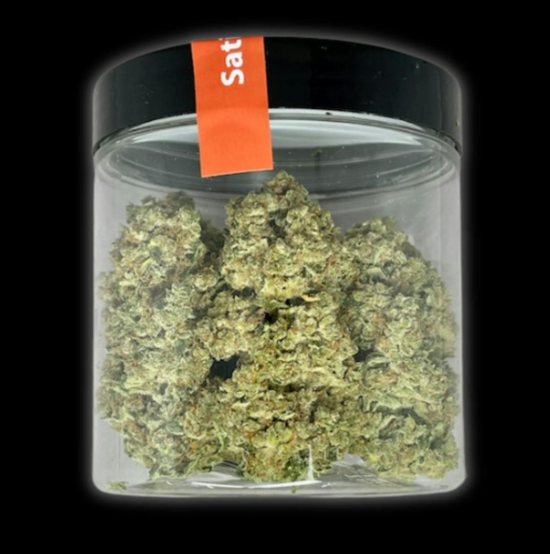 Where's My Bike? | Big Buds | 28g