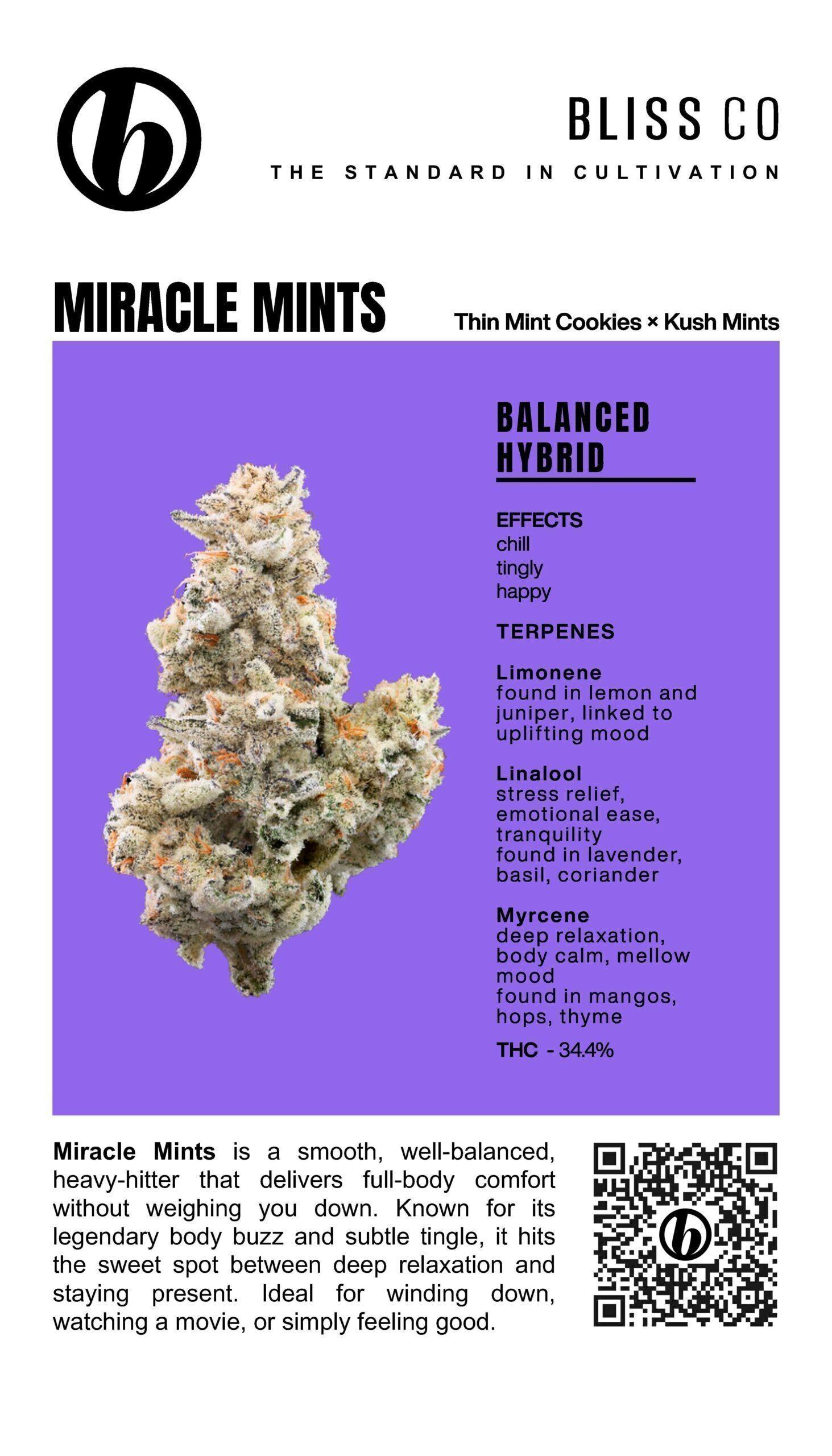 Miracle Mints Big Buds