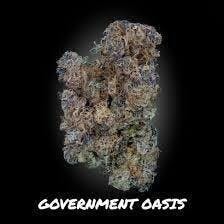 Governmint Oasis | Big Buds | 7g
